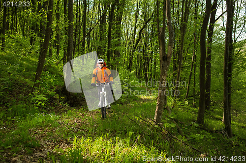 Image of Biker in orange jersey on the forest road