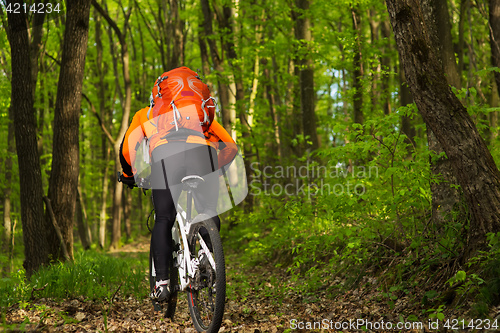 Image of Biker in orange jersey on the forest road