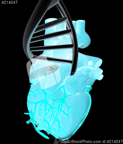 Image of DNA and heart. 3d illustration