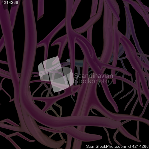 Image of veins. 3d illustration