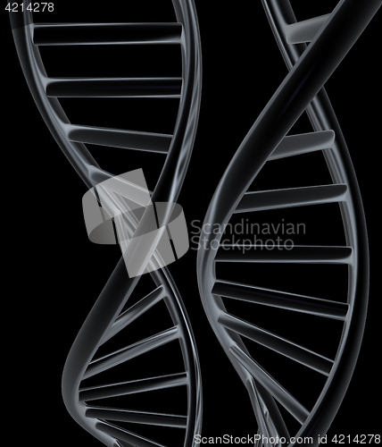 Image of DNA structure model. 3d illustration