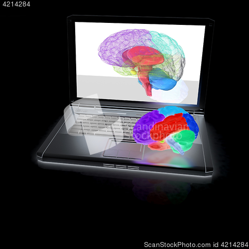 Image of creative three-dimensional model of real human brain and scan on