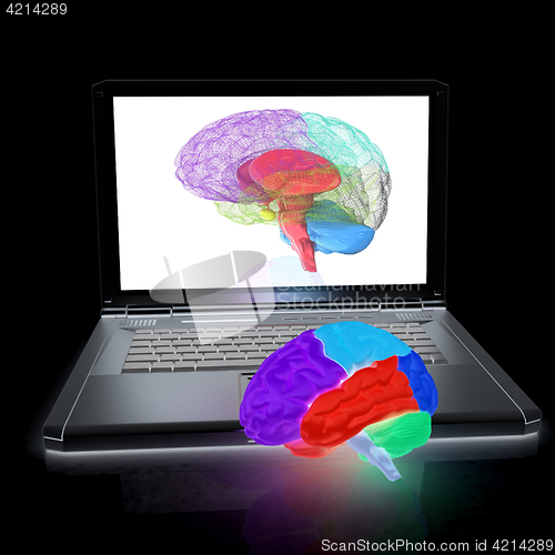 Image of creative three-dimensional model of real human brain and scan on