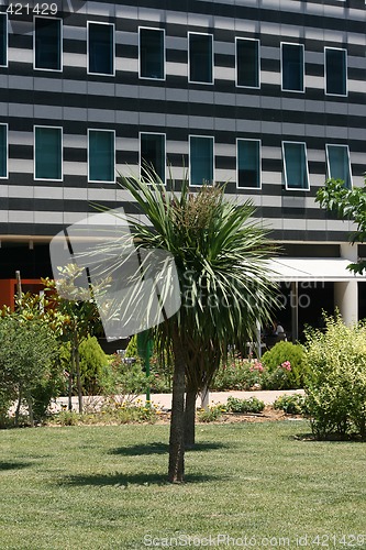 Image of garden and building