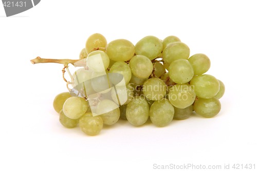 Image of grapes isolated