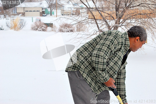 Image of Winter snow.