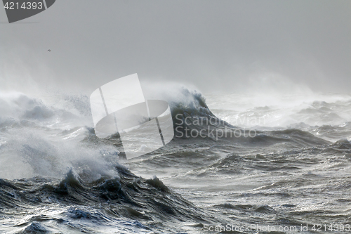 Image of Waves and Spindrift