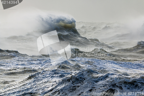 Image of Wind and Wave