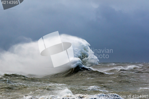 Image of Wave Face