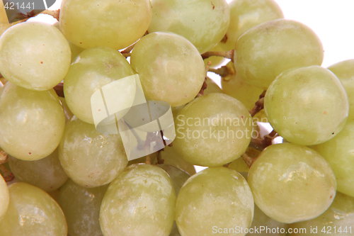 Image of texture of grapes