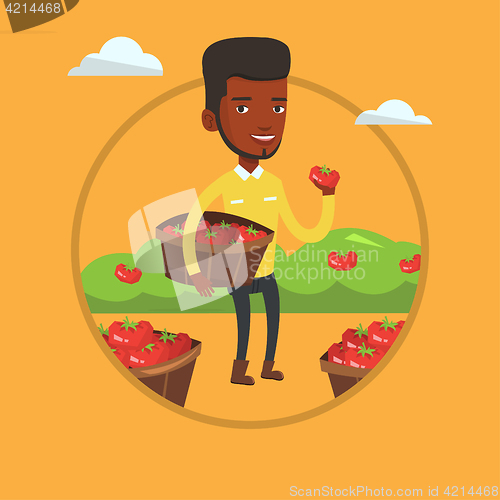 Image of Farmer collecting tomatos vector illustration.