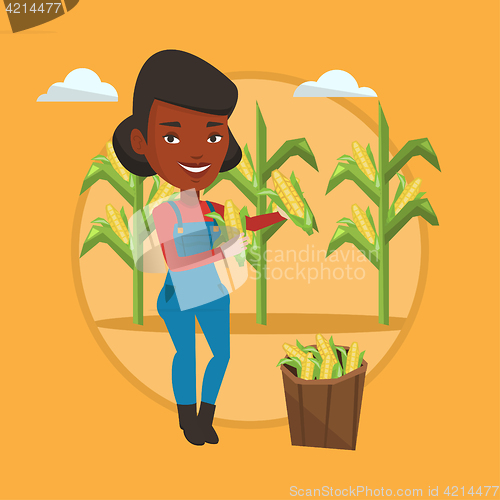 Image of Farmer collecting corn vector illustration.