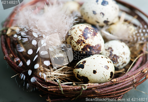 Image of quail eggs