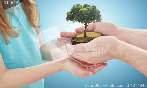 Image of close up of father and girl hands with oak tree