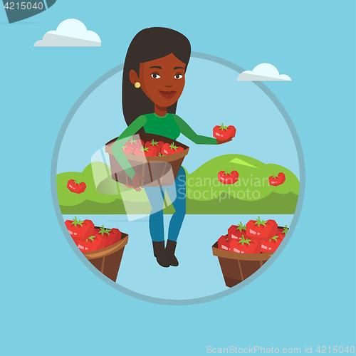 Image of Farmer collecting tomatos vector illustration.