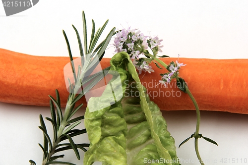 Image of Vegetables on white background