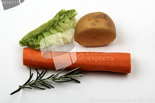 Image of Vegetables on white background