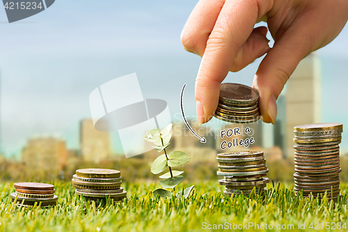 Image of The columns of coins on grass
