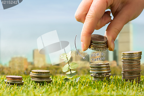 Image of The columns of coins on grass