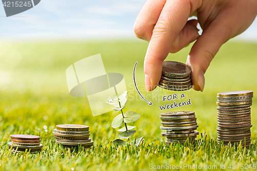 Image of The columns of coins on grass