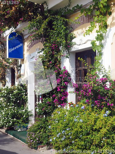 Image of scenic building front flowers Monterosso Cinque Terre Italy Euro