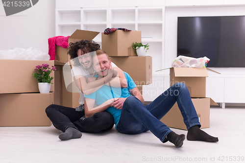 Image of young  gay couple moving  in new house