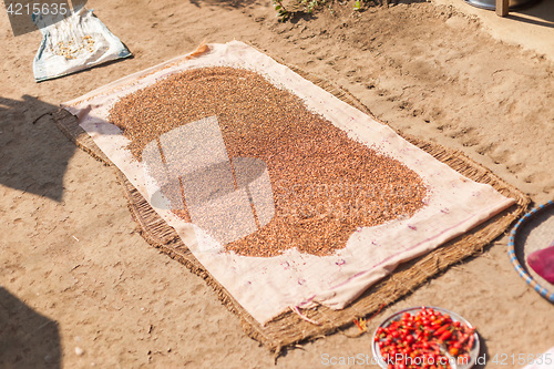 Image of Pulses drying in the sun