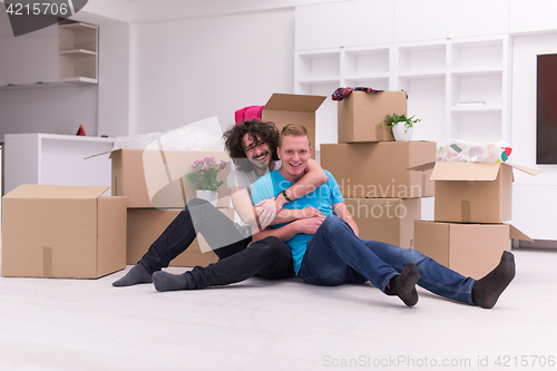 Image of young  gay couple moving  in new house