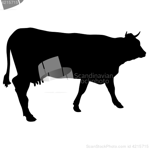 Image of Black silhouette of cash cow on white background