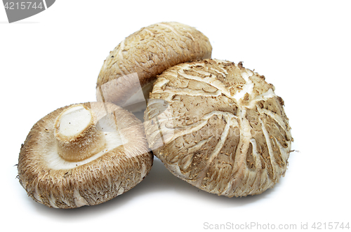 Image of Brown Shiitake mushrooms 