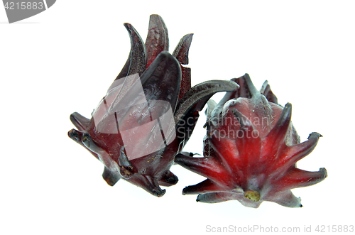 Image of Hibiscus sabdariffa or roselle fruits