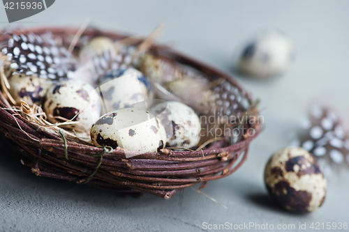 Image of quail eggs