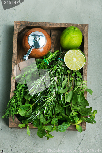 Image of Herb