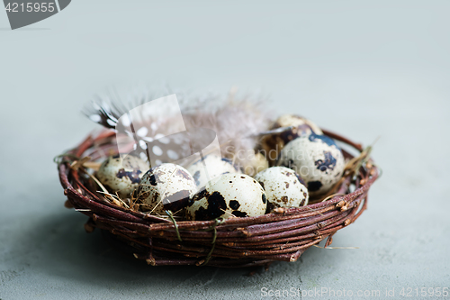 Image of quail eggs