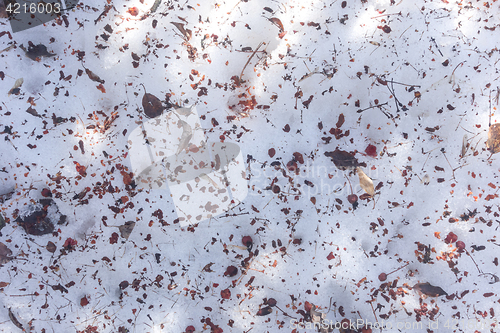 Image of dirty snow