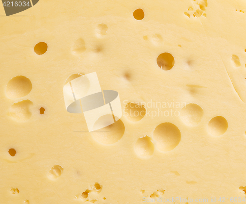 Image of cheese background