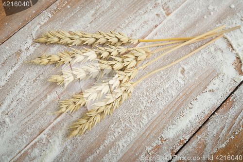 Image of flour and wheat