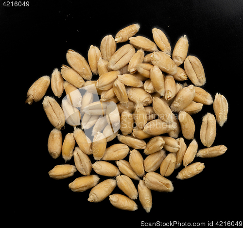 Image of wheat grain