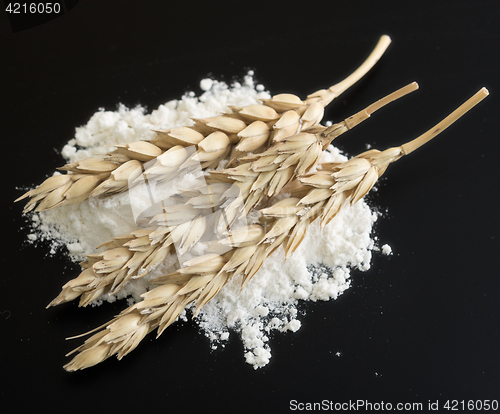 Image of wheat ears