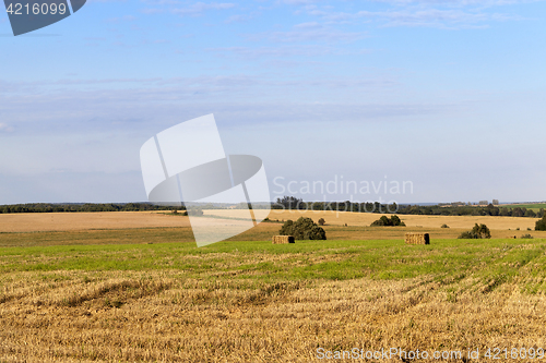 Image of agricultural field and blue sky