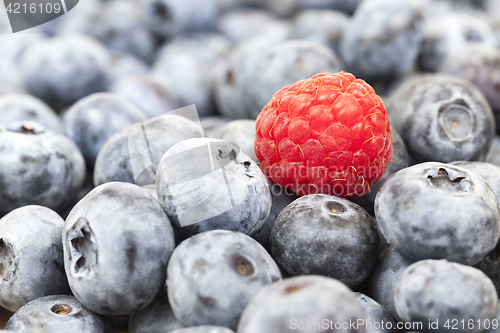 Image of ripe blueberries, close-up