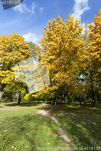 Image of Maple Park in autumn