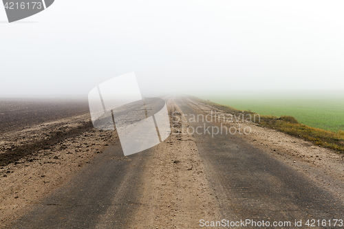 Image of asphalted road, autumn