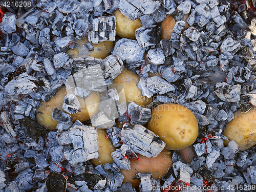 Image of Potato tubers baked in the hot charcoal