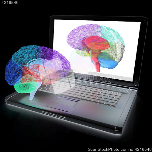 Image of creative three-dimensional model of real human brain and scan on