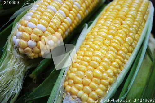 Image of Yellow and white corn cobs