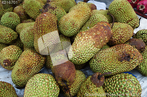 Image of Cempedak is a kind of jack fruit