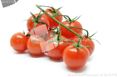 Image of Red cherry tomato