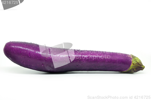 Image of Purple eggplant with water drop