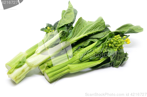 Image of Bunch of floral choy sum